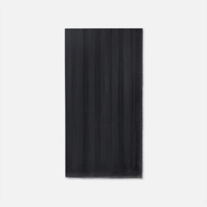 Eșarfa Elisabetta Franchi